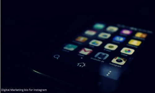 Digital Marketing Bio for Instagram