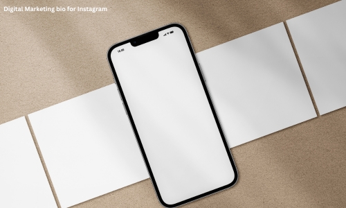 Digital Marketing Bio for Instagram